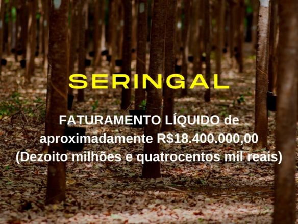 150 Alqueires Plantados de Seringueiras