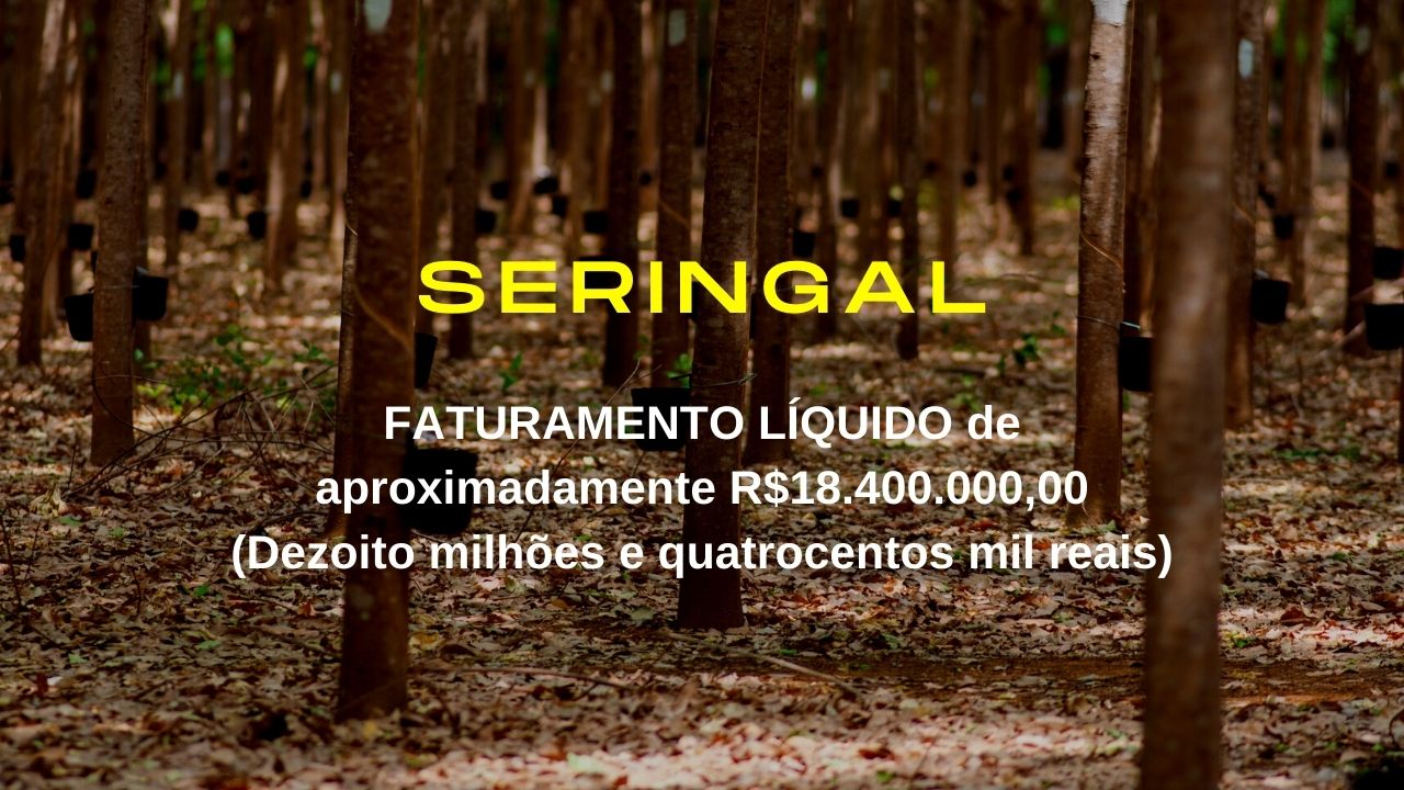 Fazenda de seringal 150 Alqueires Plantados de Seringueiras