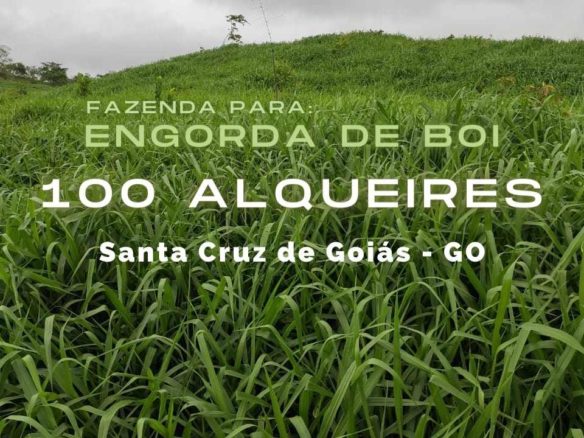 Fazenda 100 Alqueires em Santa Cruz de Goiás – GO