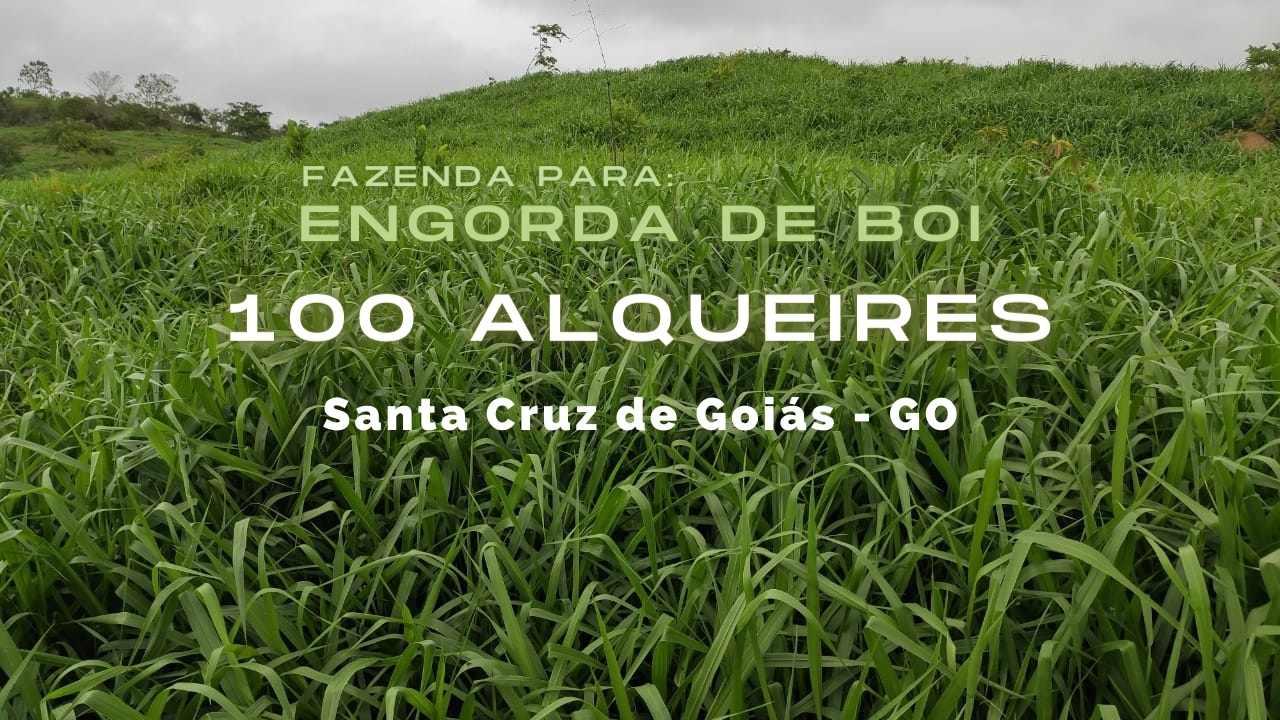 Fazenda para engorda de boi Fazenda 100 Alqueires em Santa Cruz de Goiás – GO
