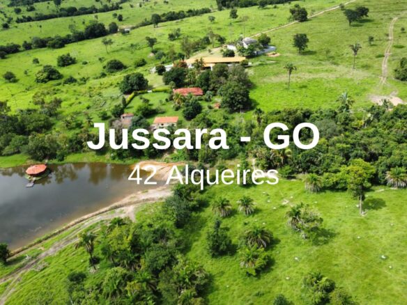 Fazenda de 42 alqueires a venda no município de Jussara-Go