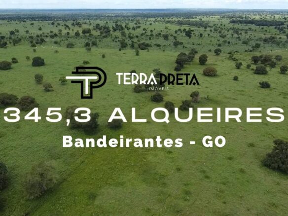 Fazenda de 345,3 Alqueires em Bandeirantes – GO
