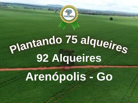 Fazenda de 92 Alqueires em Arenópolis – GO