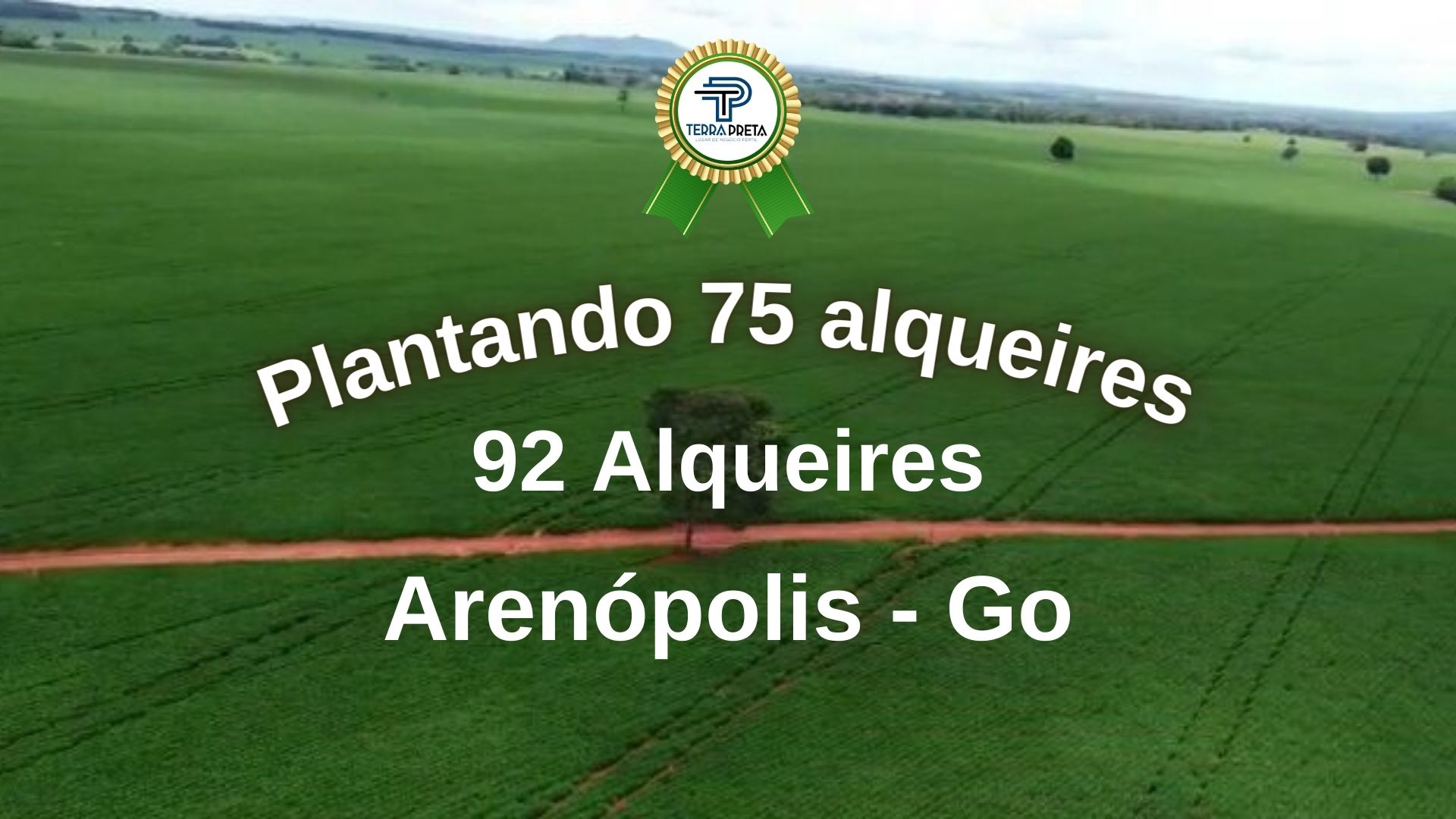 Fazenda de soja a venda no municipio de arenopolis goias Fazenda de 92 Alqueires em Arenópolis – GO