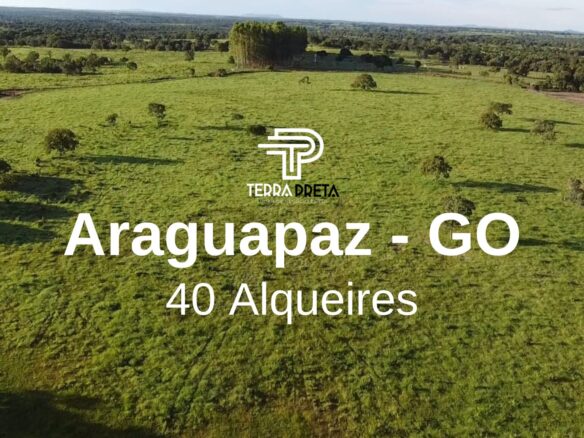 Fazenda de 40 Alqueires a venda em Araguapaz – GO