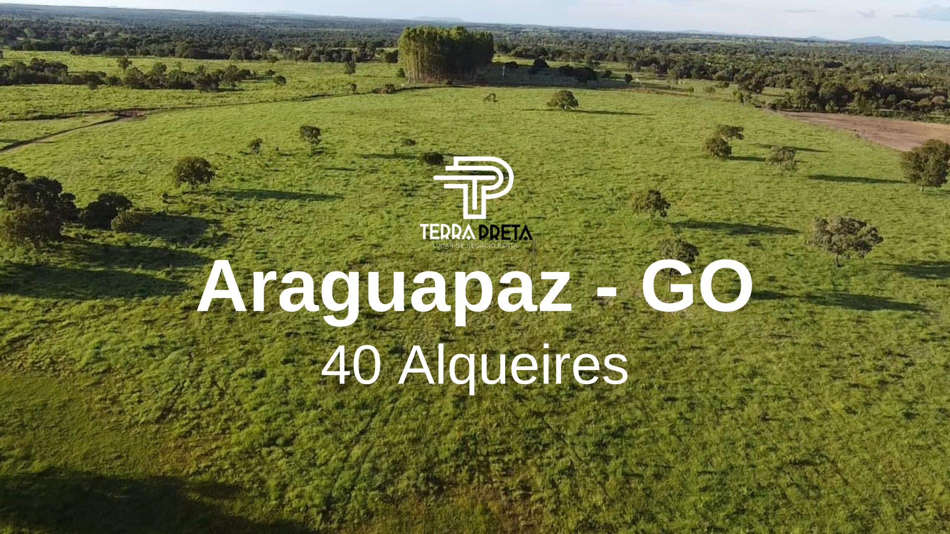 Faenda de 40 alqueires a venda em araguapaz goias Fazenda de 40 Alqueires a venda em Araguapaz – GO
