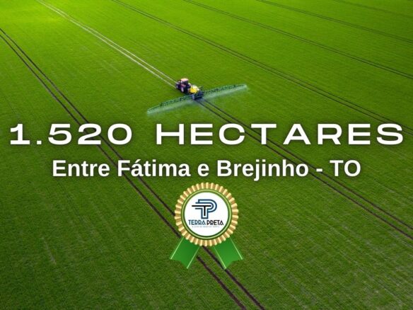 Fazenda de 1520 hectares a venda em Brejinho-TO