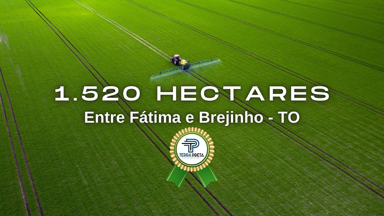 Fazenda de 1250 hectares a venda no tocantins (2) Fazenda de 1520 hectares a venda em Brejinho-TO