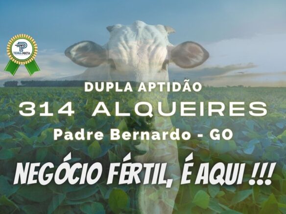 Fazenda de 1523 hectares em Padre Bernardo – GO