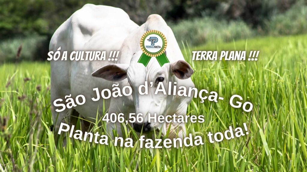 Fazenda de 84 Alqueires em São João d’Aliança – GO