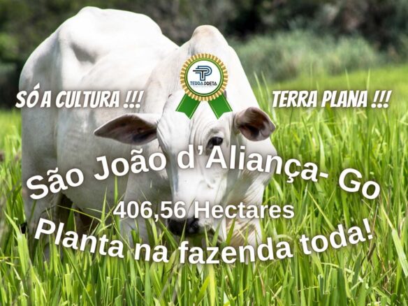 Fazenda de 84 Alqueires em São João d’Aliança – GO