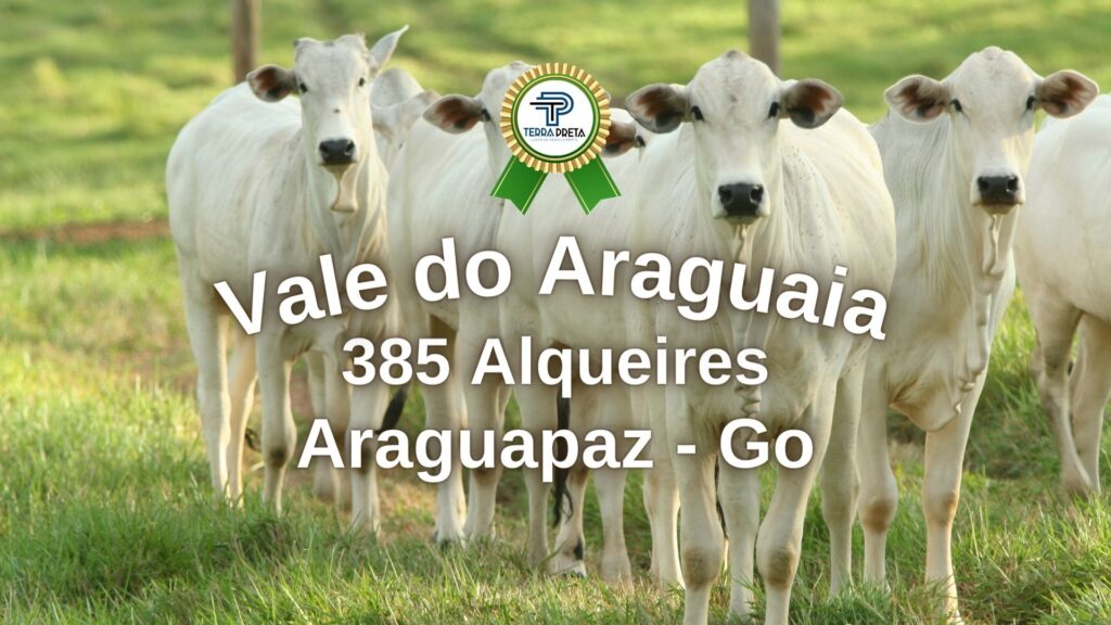 Fazenda de 385 alqueires em Araguapaz – GO
