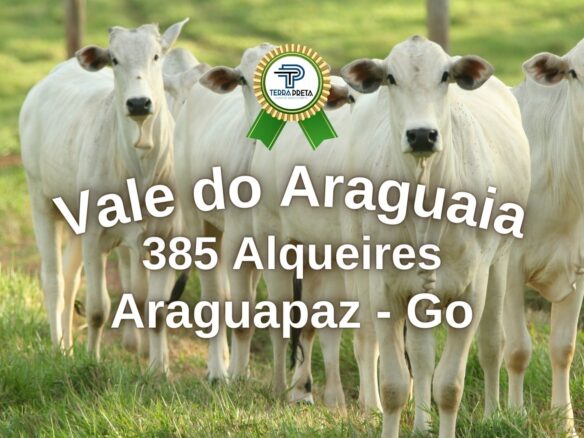 Fazenda de 385 alqueires em Araguapaz – GO