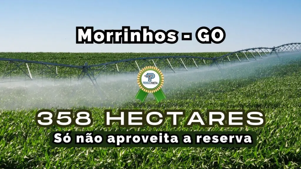 Fazenda a venda em Morrinhos – Go