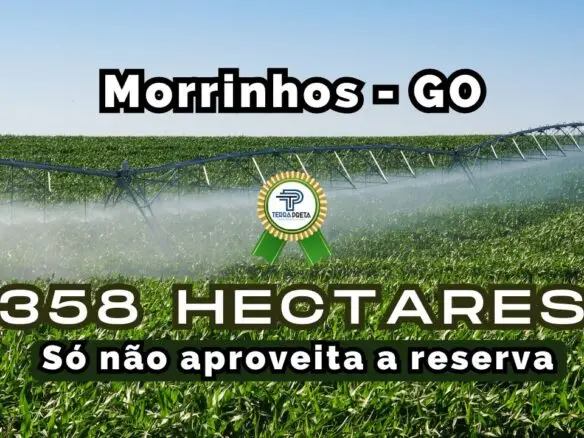 Fazenda a venda em Morrinhos – Go