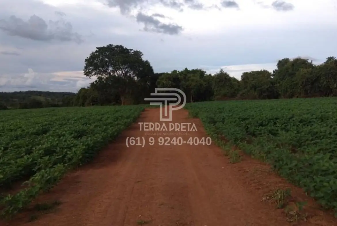 Fazenda a venda em Morrinhos – Go