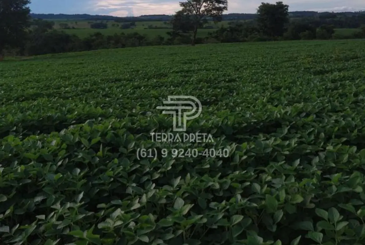 Fazenda a venda em Morrinhos – Go