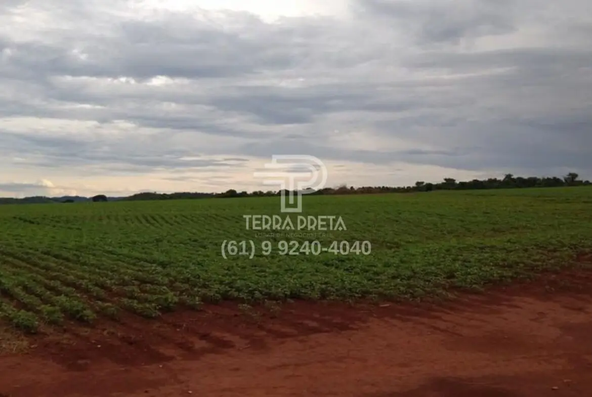 Fazenda a venda em Morrinhos – Go