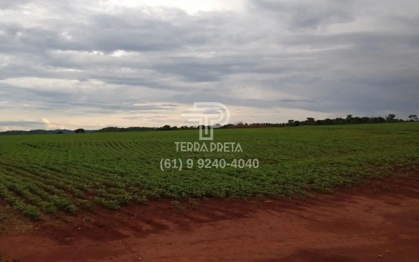 Fazenda a venda em morrinhos go (6) Fazenda a venda em Morrinhos – Go