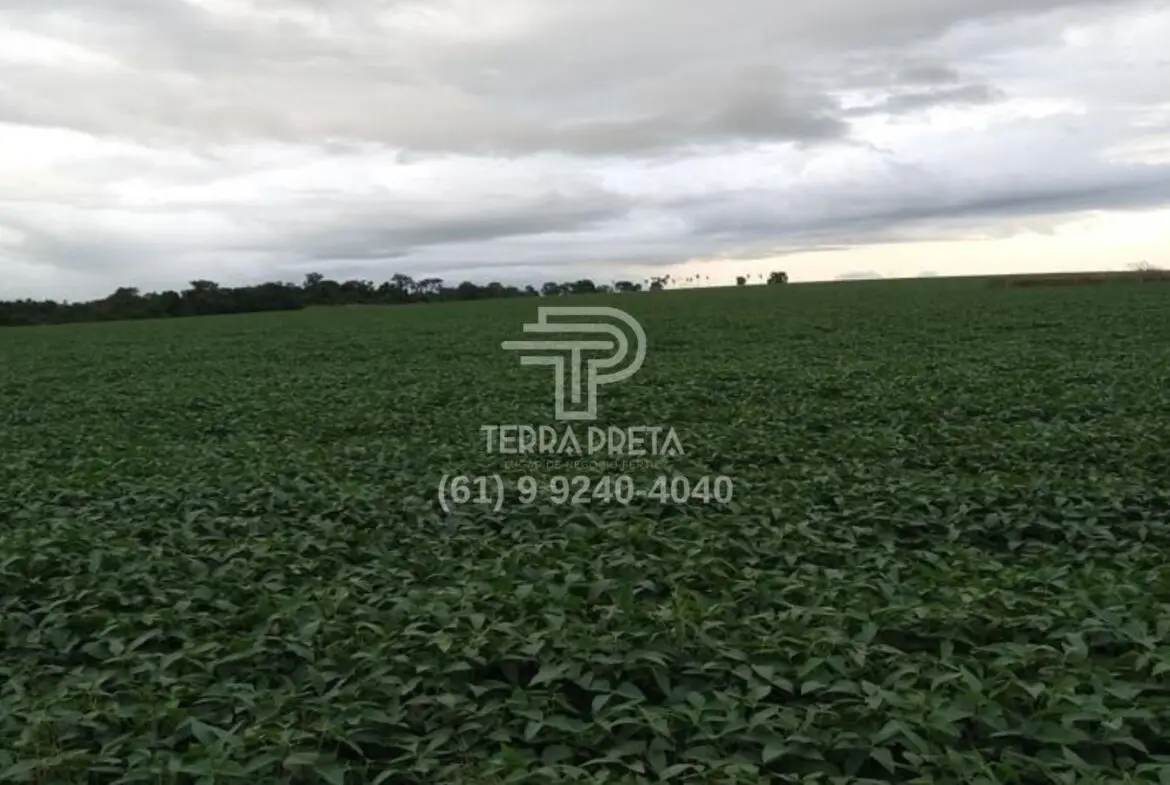 Fazenda a venda em Morrinhos – Go