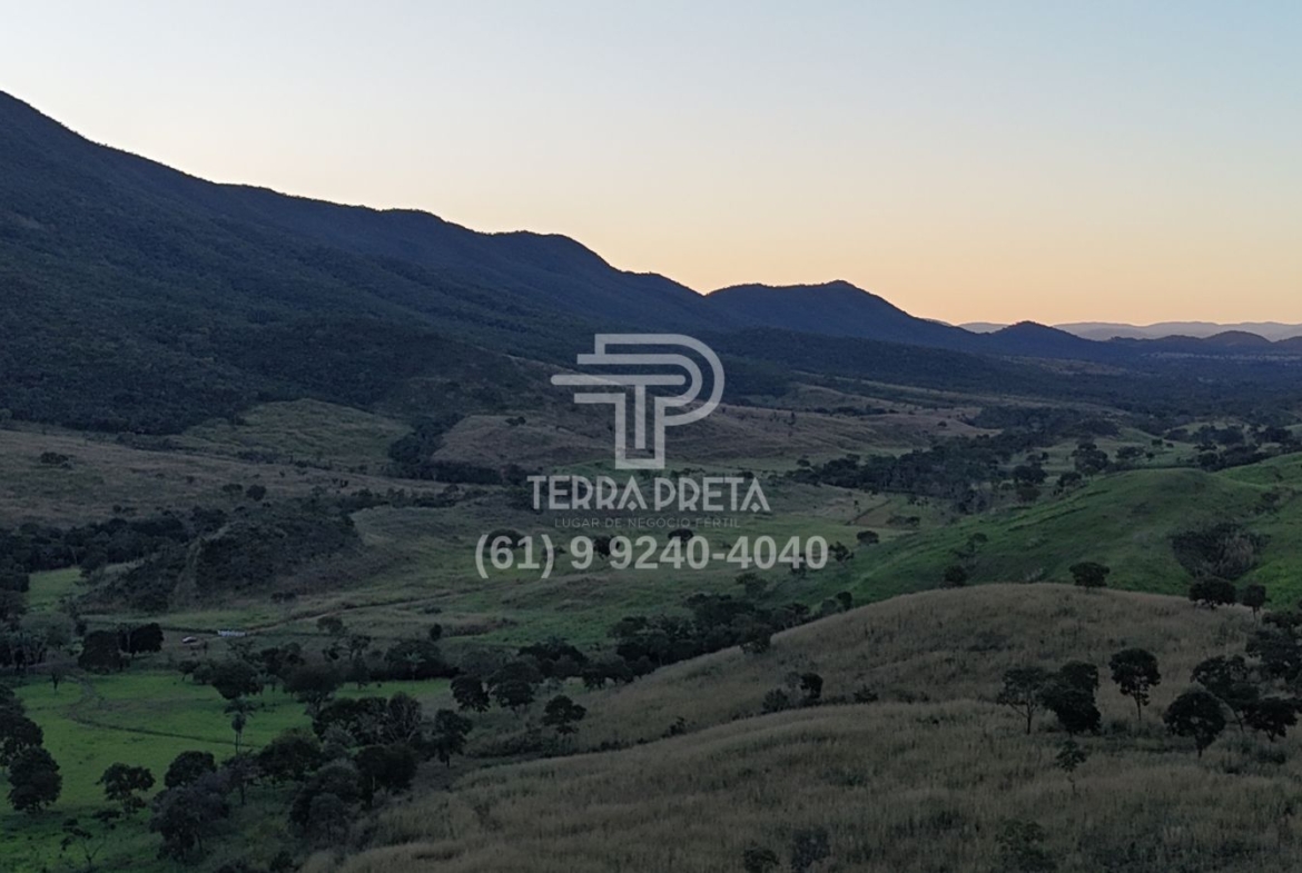 Fazenda a venda em Jaú To