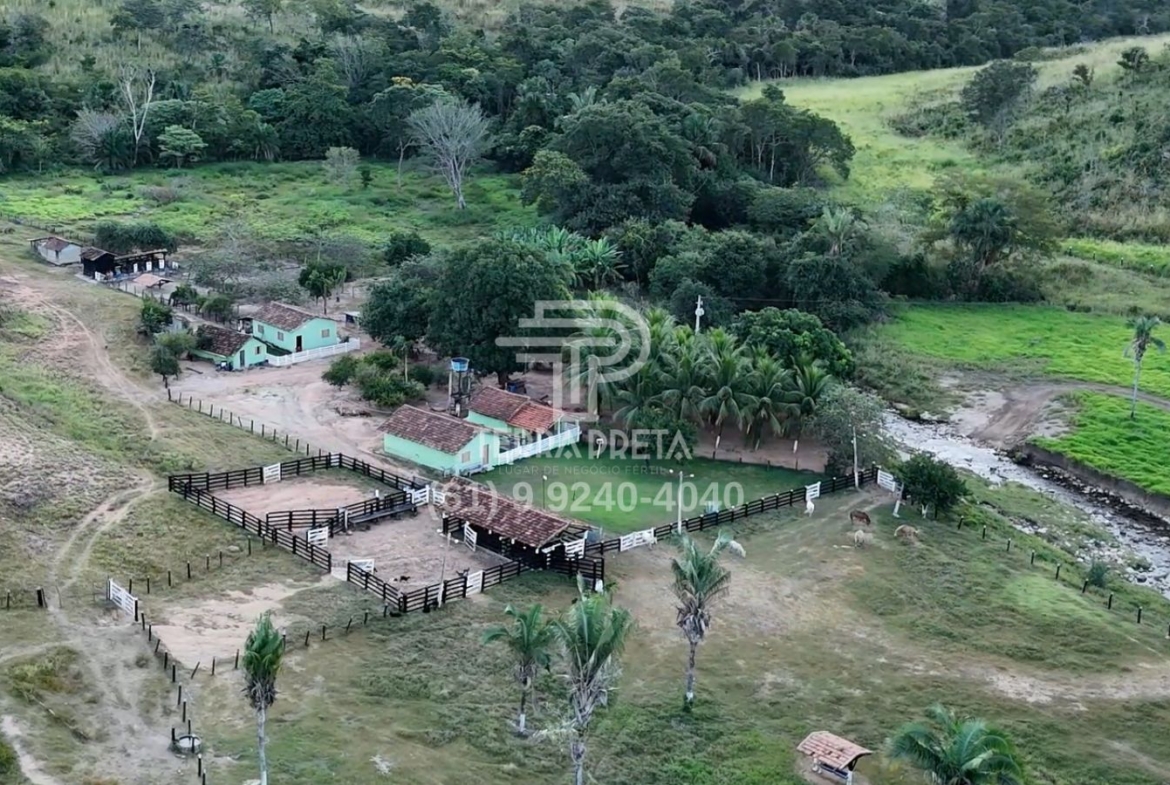 Fazenda de 235 Alqueires à venda em Jaú – To