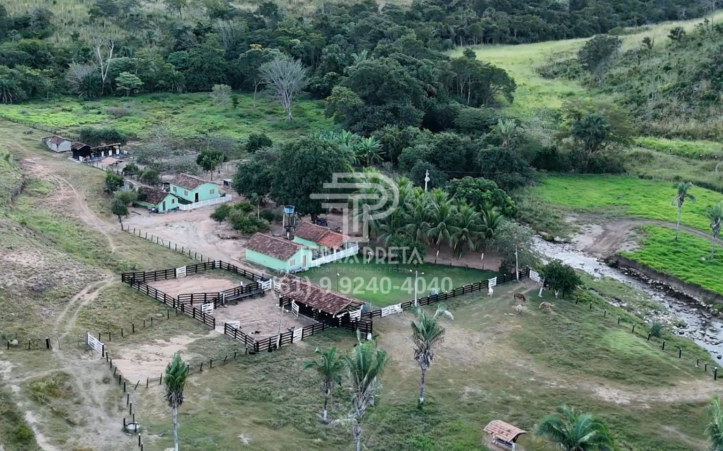 10 Fazenda de 235 Alqueires à venda em Jaú – To