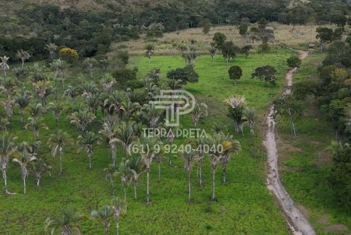 Fazenda de 235 Alqueires à venda em Jaú – To