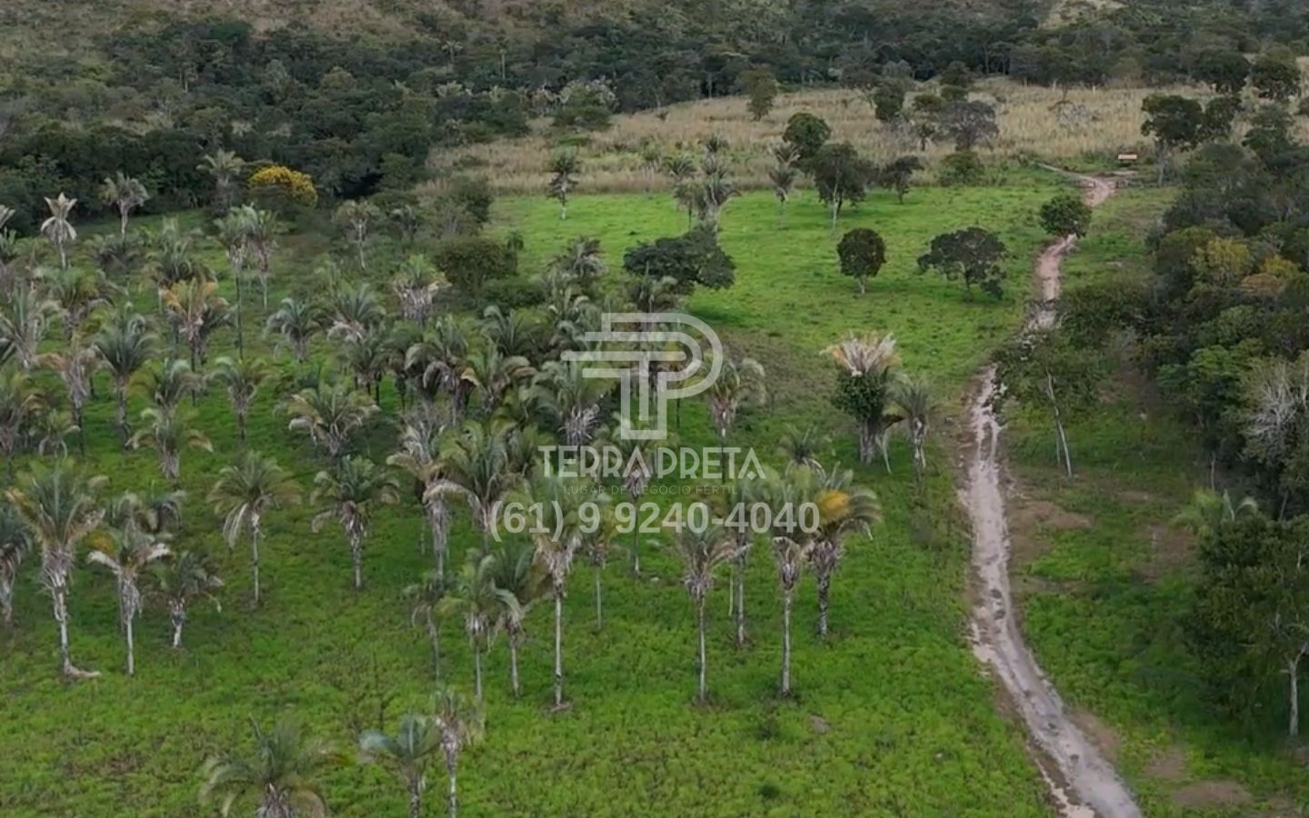 2 Fazenda de 235 Alqueires à venda em Jaú – To