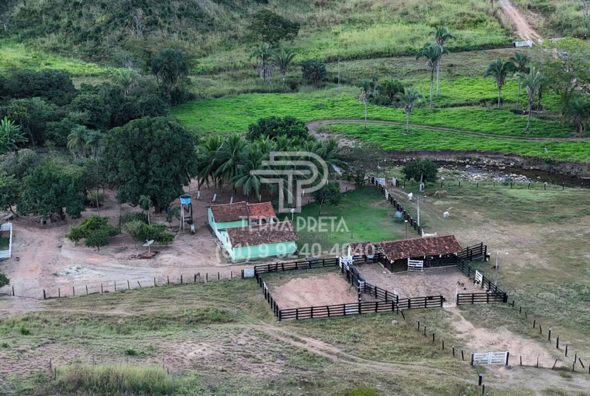 Fazenda de 235 Alqueires à venda em Jaú – To