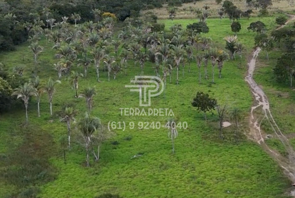 Fazenda de 235 Alqueires à venda em Jaú – To