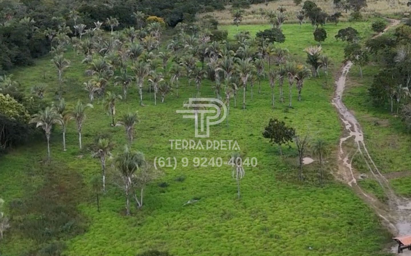 4 Fazenda de 235 Alqueires à venda em Jaú – To