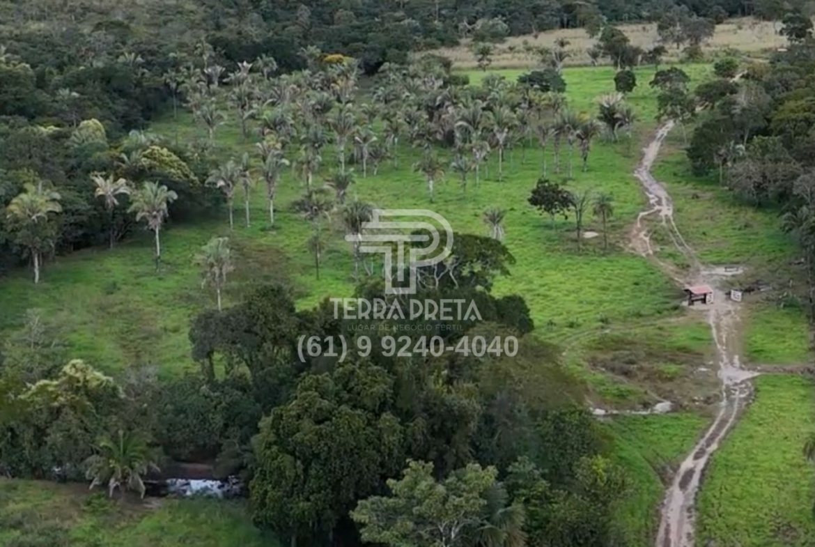 Fazenda de 235 Alqueires à venda em Jaú – To