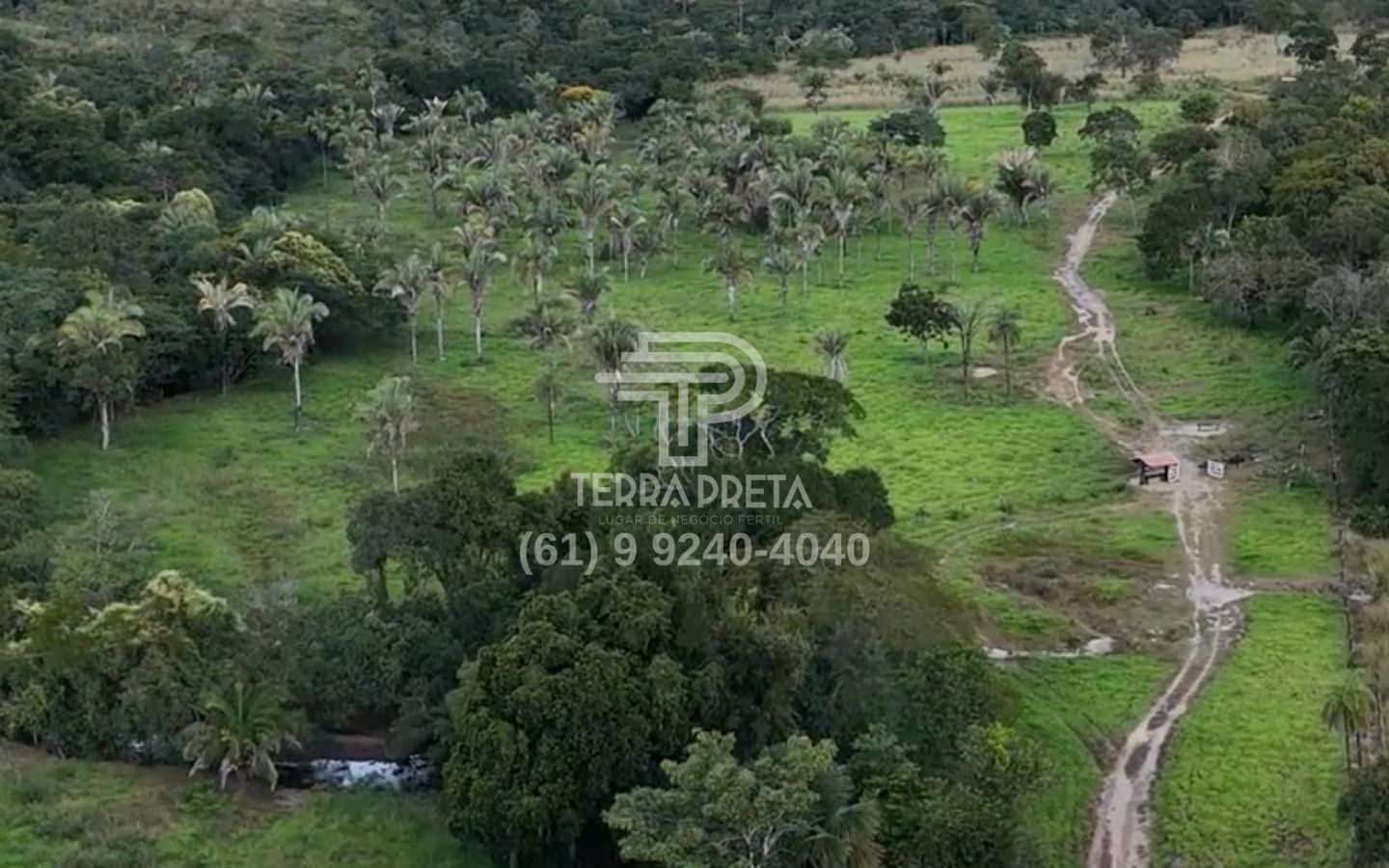 5 Fazenda de 235 Alqueires à venda em Jaú – To