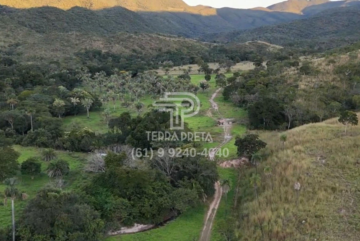 Fazenda de 235 Alqueires à venda em Jaú – To