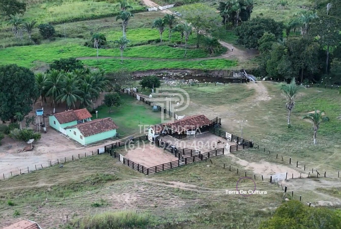 Fazenda de 235 Alqueires à venda em Jaú – To