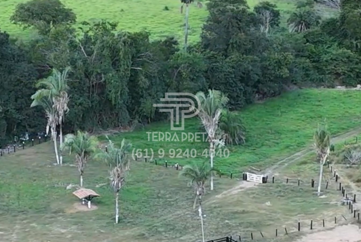 Fazenda de 235 Alqueires à venda em Jaú – To