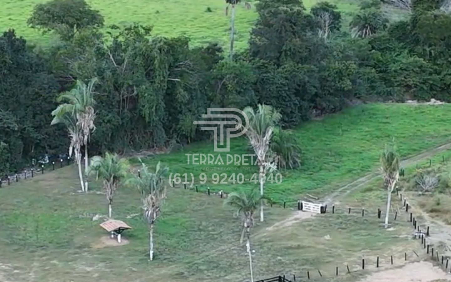 9 Fazenda de 235 Alqueires à venda em Jaú – To