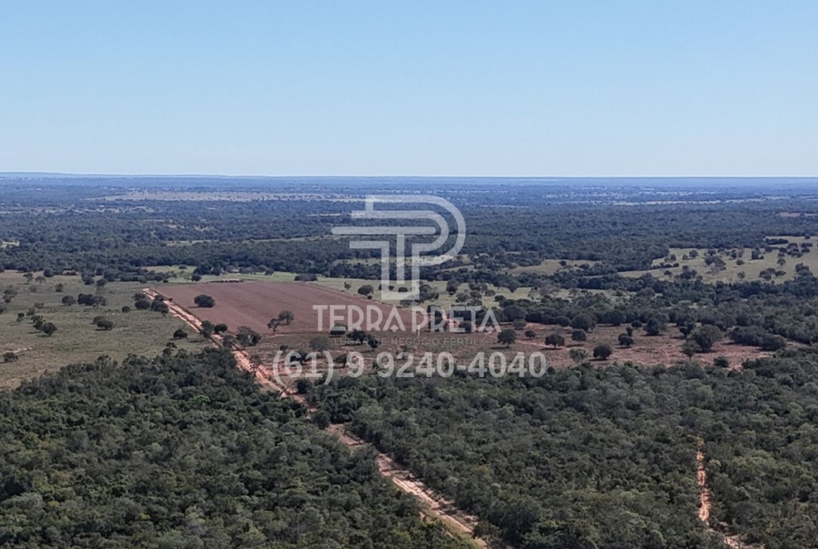 Fazenda de 2013 Hectares a venda em Araguaçu To