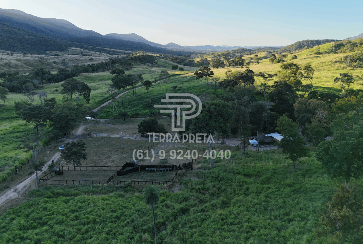 Fazenda a venda no município de Jaú - To