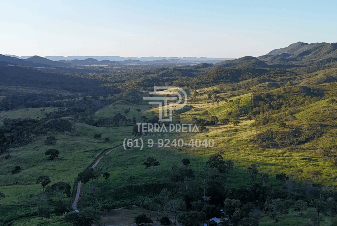 Fazenda de 170 alqueires a venda em Jaú – To