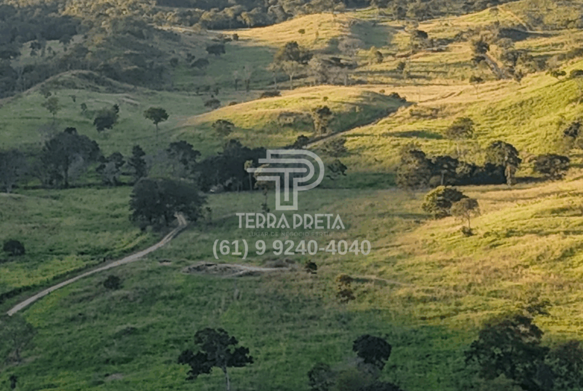 Fazenda de 170 alqueires a venda em Jaú – To