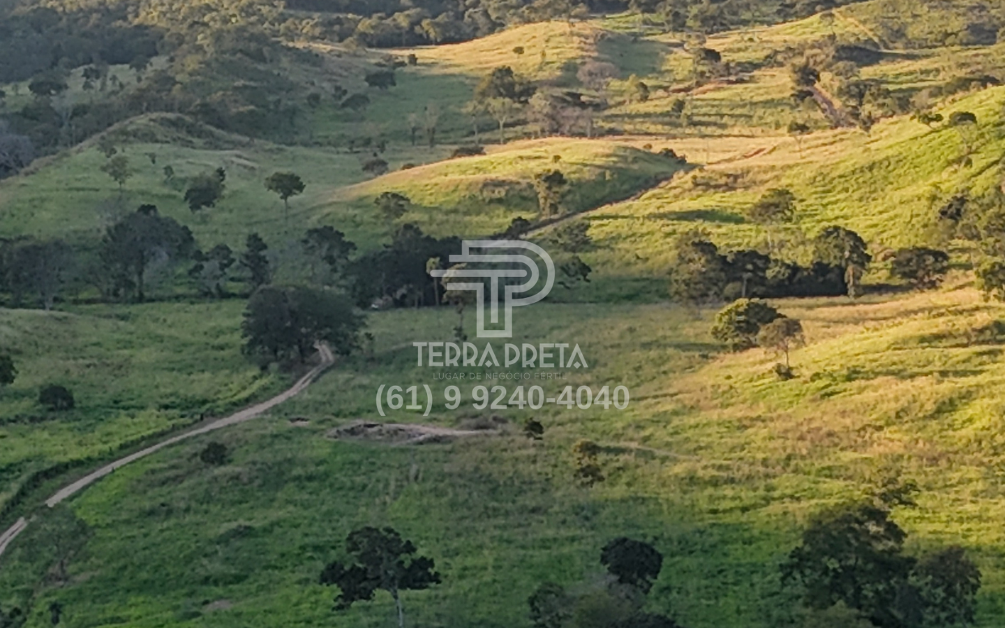Fazenda a venda no município de Jaú To (3) Fazenda de 170 alqueires a venda em Jaú – To