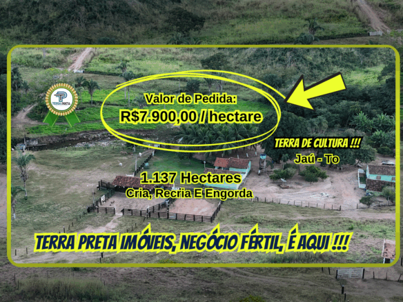 Fazenda de 230 alqueires a venda em jaú tocantins to