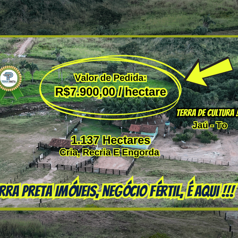 Fazenda de 230 alqueires a venda em jaú tocantins to