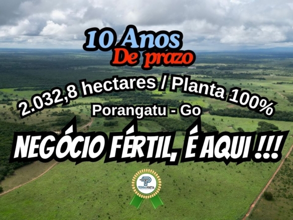 Fazenda a venda nos municípios de Porangatu Go e Araguaçu To.