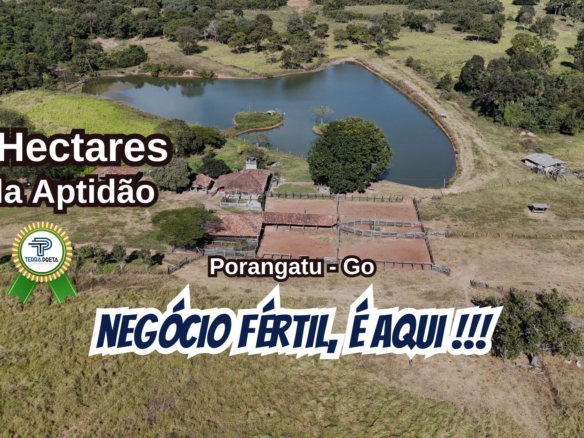 Fazenda de 600 hectares ou 124 alqueires a venda em Porangatu goiás