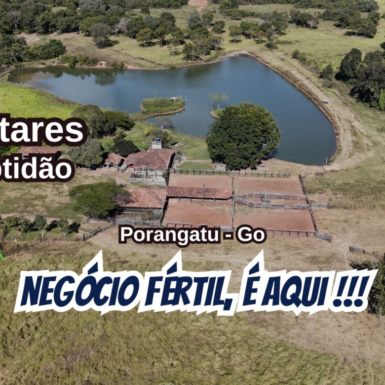 Fazenda de 600 hectares ou 124 alqueires a venda em Porangatu goiás