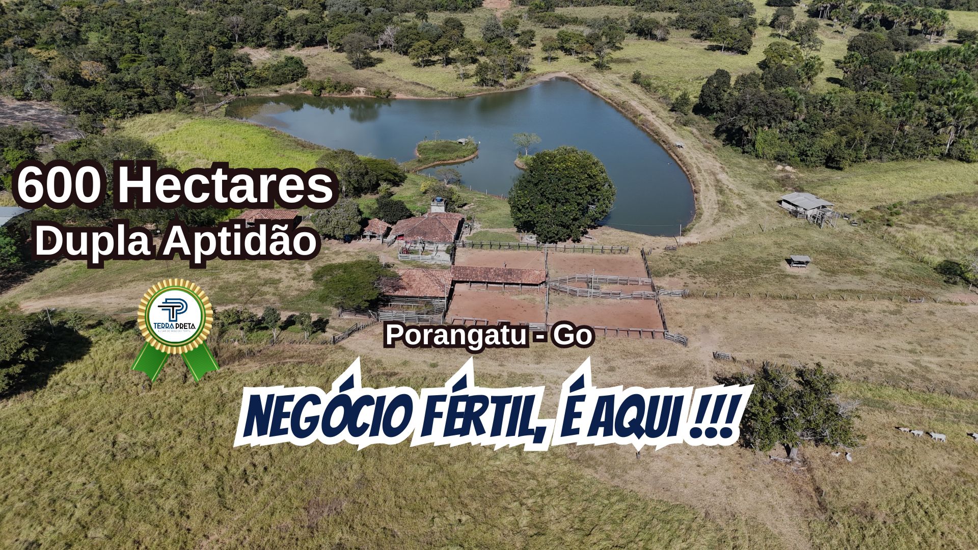Fazenda de 600 hectares ou 124 alqueires a venda em Porangatu goiás