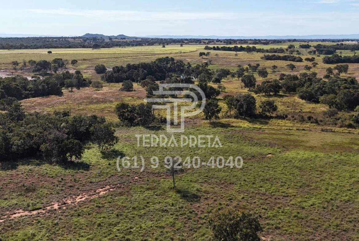 Fazenda de 124 alqueires à venda em Porangatu Go